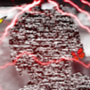 Meet your Posher, Caleb